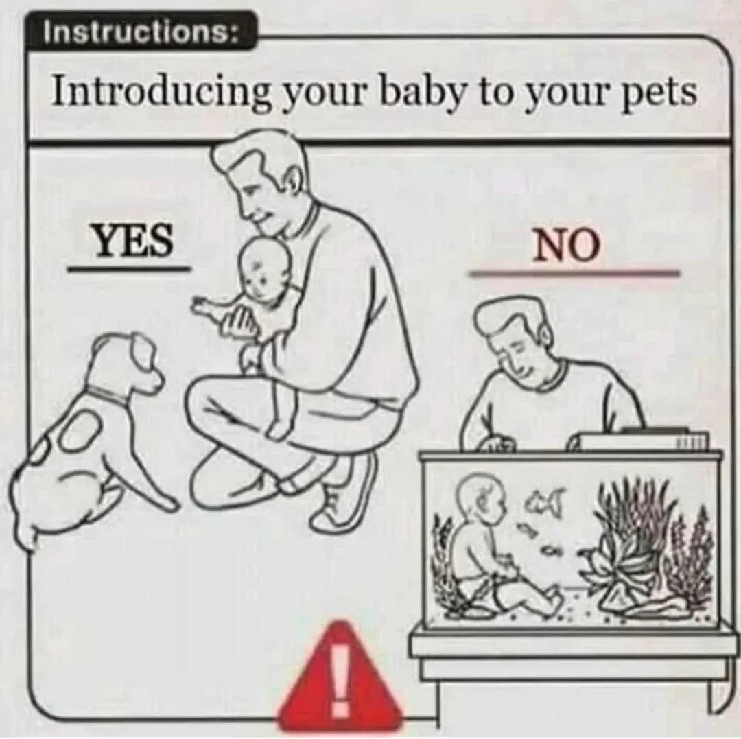 Epic Parenting Fail