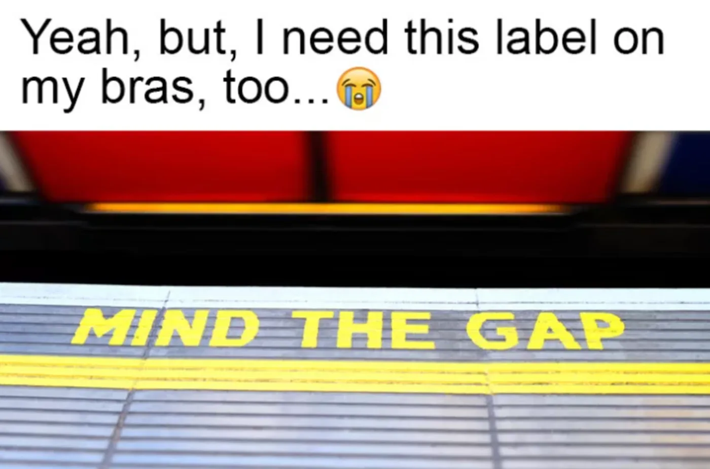 itty bitty titty committee, funny boobs memes, funny memes boobs, small boobs memes, small boobs jokes, boobs jokes, funniest jokes about boobs