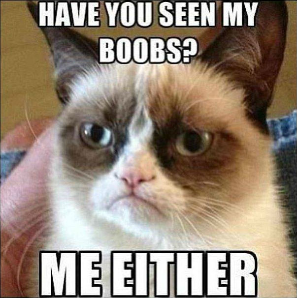 itty bitty titty committee, funny boobs memes, funny memes boobs, small boobs memes, small boobs jokes, boobs jokes, funniest jokes about boobs