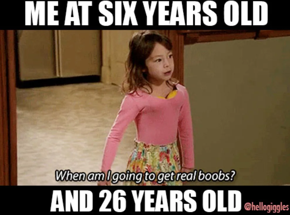 itty bitty titty committee, funny boobs memes, funny memes boobs, small boobs memes, small boobs jokes, boobs jokes, funniest jokes about boobs