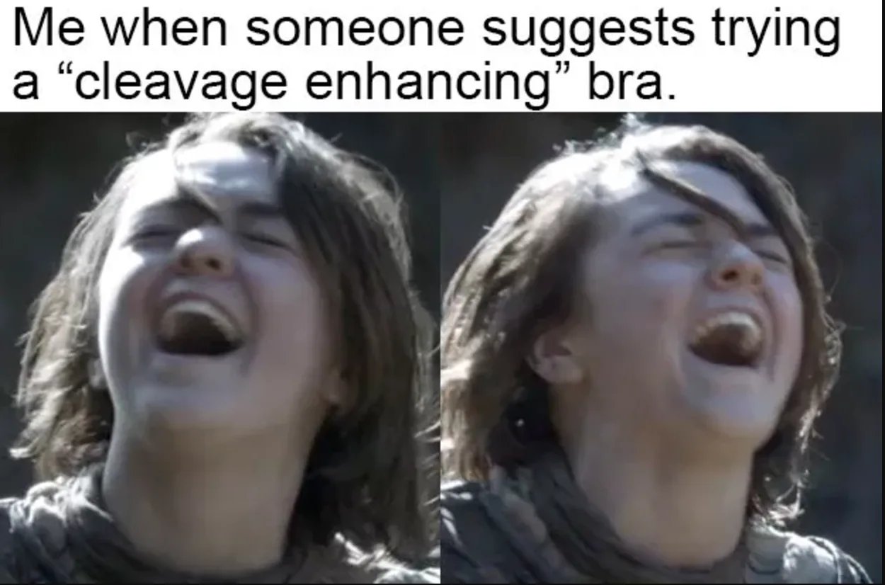 itty bitty titty committee, funny boobs memes, funny memes boobs, small boobs memes, small boobs jokes, boobs jokes, funniest jokes about boobs