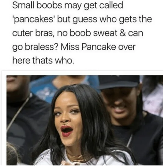itty bitty titty committee, funny boobs memes, funny memes boobs, small boobs memes, small boobs jokes, boobs jokes, funniest jokes about boobs