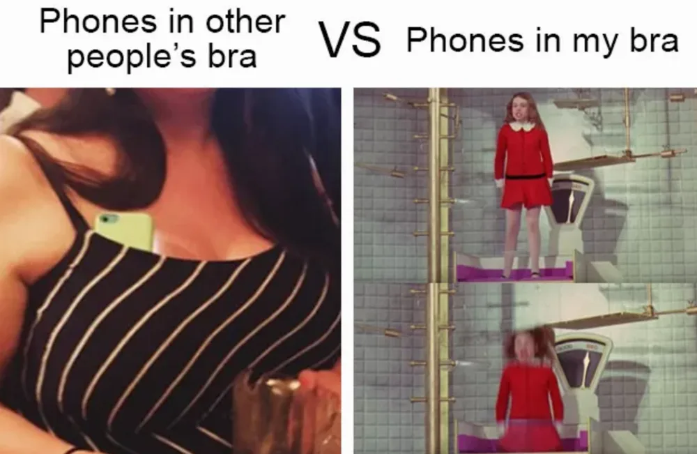itty bitty titty committee, funny boobs memes, funny memes boobs, small boobs memes, small boobs jokes, boobs jokes, funniest jokes about boobs