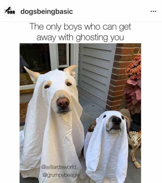 being single memes, funny single memes, being single meme, single meme, being single tweets, being single, on being single, singles memes, singles, singles funny memes, funny singles memes, funny singles tweets, singles jokes, single memes, being single memes, im single meme, funny single memes, single life meme, funny memes about being single, single forever meme, single people memes, all alone meme, single memes 2019, why am i single meme, single single meme, are you single meme, forever single meme, single mem, single again meme, funny single, hilarious single memes, single funny, im so funny meme, are you single single meme, meme alone, old and single meme, single girl memes, you are not alone funny, i m lonely meme, funny people memes, single memes for females, people meme, i feel alone meme, funny single memes for females, being alone memes, single male memes, alone meme, funny images of being single, i m the best meme, being single funny pics, single memes for men, memes de forever alone, laughing but crying meme, being lonely meme, im lonely meme, i m so single that, being single funny, single memes, single meme, funny single memes, being single memes, im single meme, funny single meme, single tweets, being single tweets, being single jokes