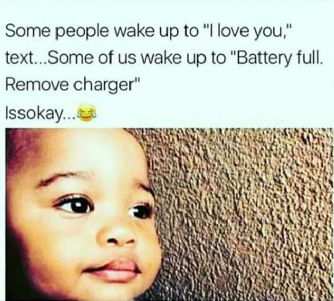 being single memes, funny single memes, being single meme, single meme, being single tweets, being single, on being single, singles memes, singles, singles funny memes, funny singles memes, funny singles tweets, singles jokes, single memes, being single memes, im single meme, funny single memes, single life meme, funny memes about being single, single forever meme, single people memes, all alone meme, single memes 2019, why am i single meme, single single meme, are you single meme, forever single meme, single mem, single again meme, funny single, hilarious single memes, single funny, im so funny meme, are you single single meme, meme alone, old and single meme, single girl memes, you are not alone funny, i m lonely meme, funny people memes, single memes for females, people meme, i feel alone meme, funny single memes for females, being alone memes, single male memes, alone meme, funny images of being single, i m the best meme, being single funny pics, single memes for men, memes de forever alone, laughing but crying meme, being lonely meme, im lonely meme, i m so single that, being single funny