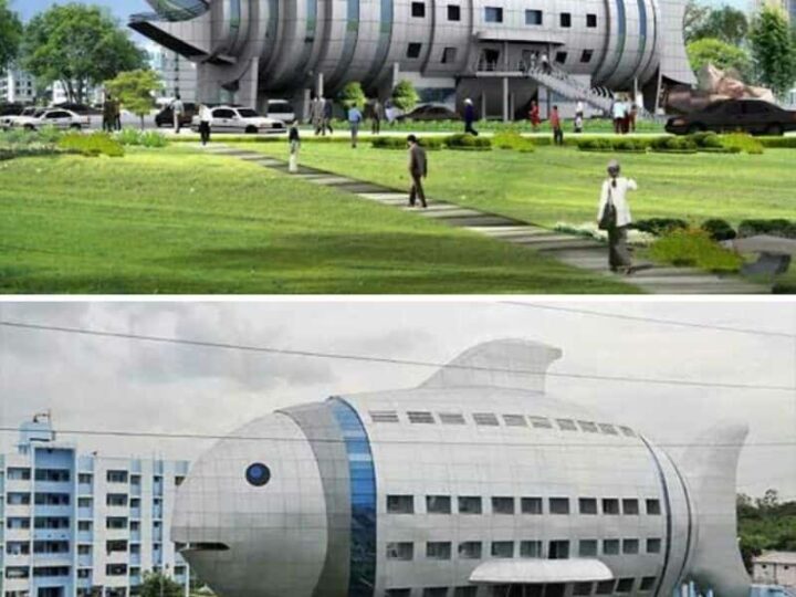Fish-shaped building with windows and a fish mouth design, resembling a fish.