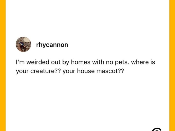 I'm weirded out by homes with no pets. where is your creature?? your house mascot??.