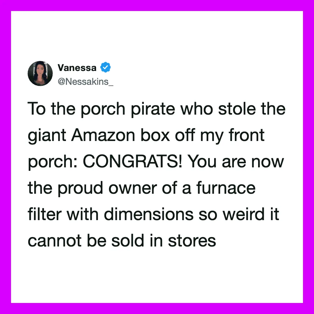 Vanessa's tweet about porch pirate stealing Amazon box, now owning a furnace filter.