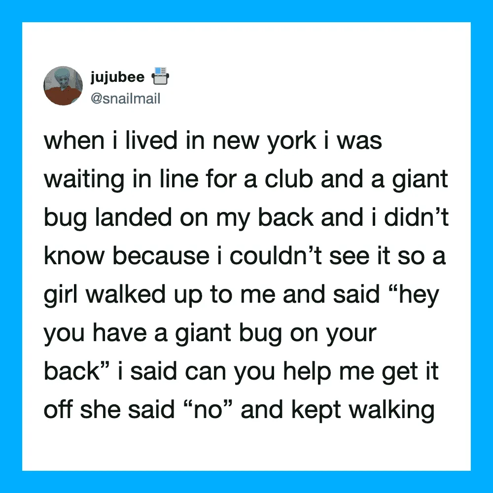Twitter post about a giant bug landing on someone's back in New York.