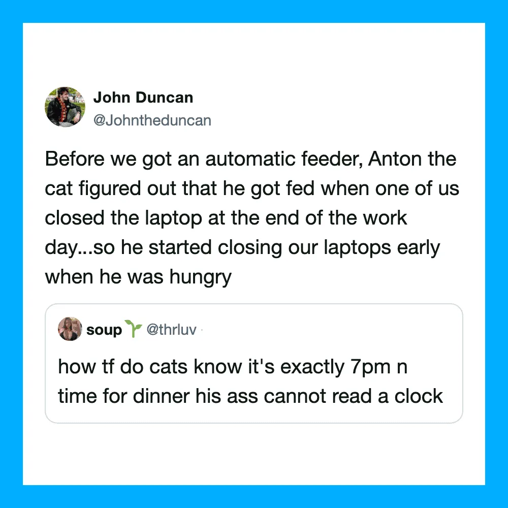 John Duncan's tweet about his cat Anton and feeding habits.