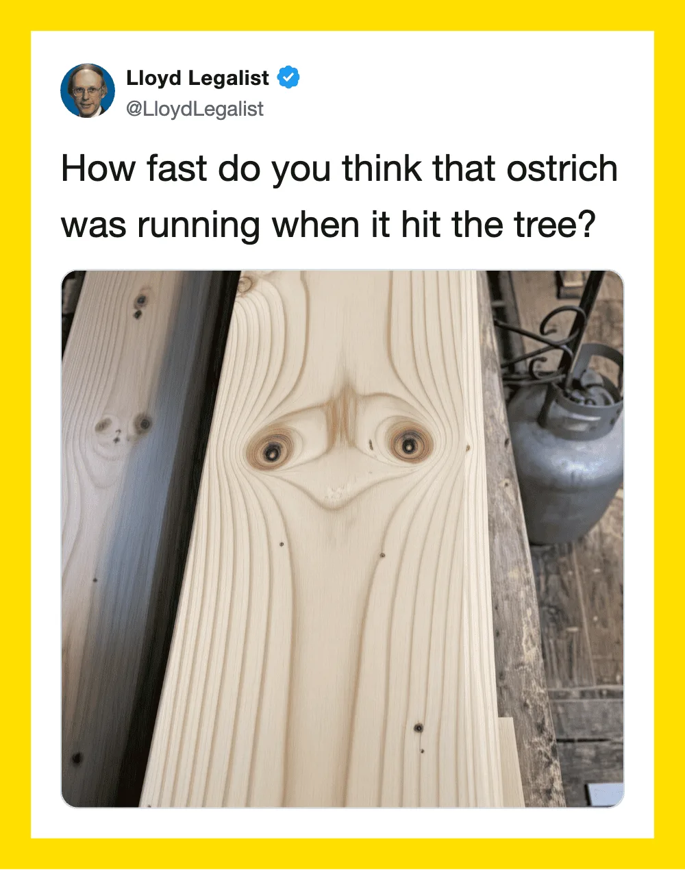 Twitter post by Lloyd Legalist about an ostrich hitting a tree, with a funny face on the wood.