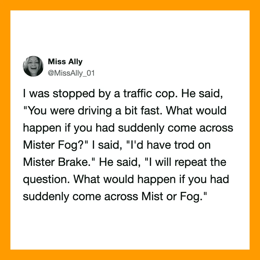 Miss Ally's tweet about being stopped by a traffic cop and a humorous question about Mist or Fog.