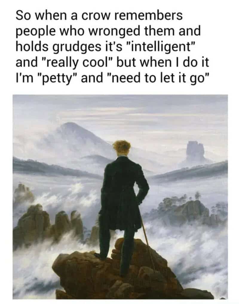 A person standing on a rocky cliff overlooking a misty landscape with mountains.