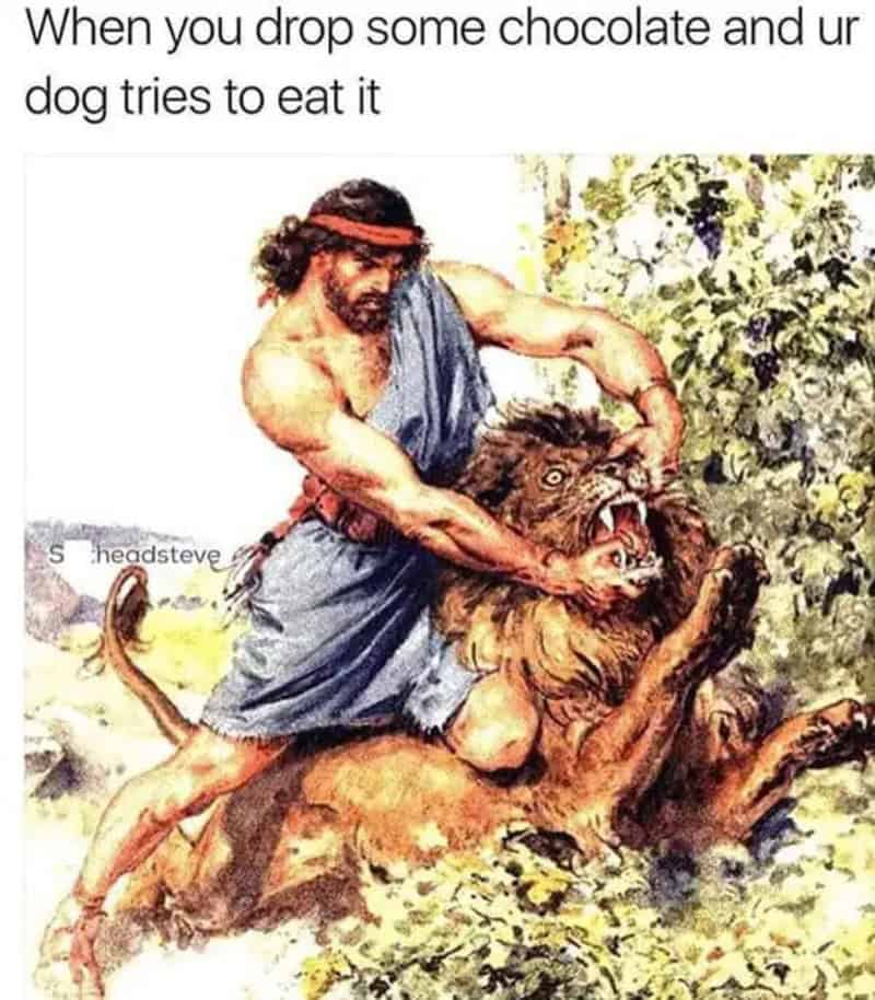 Man fighting a lion with a dog trying to eat chocolate nearby.