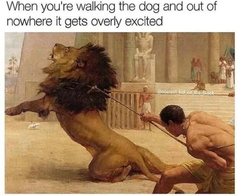 Dog pulling man on leash, with humorous text about excitement when walking the dog.