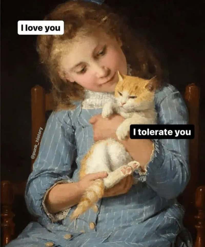 Girl holding a cat with text 'I love you' and 'I tolerate you'.
