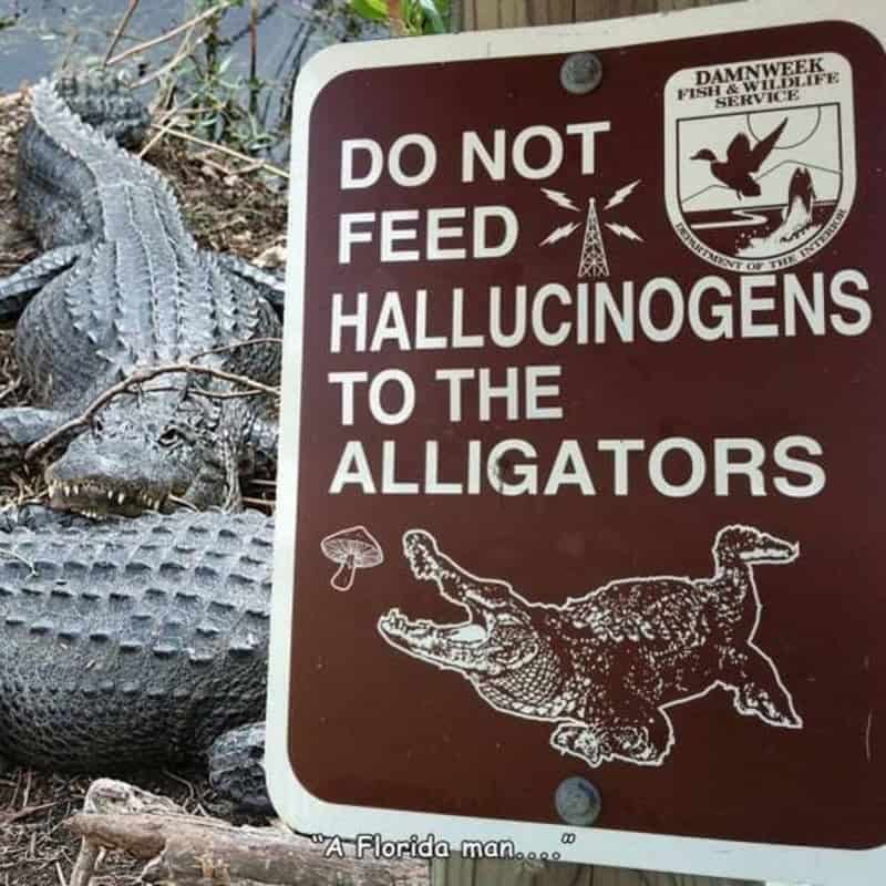 Warning sign saying 'Do not feed hallucinations to the alligators' with a crocodile illustration.