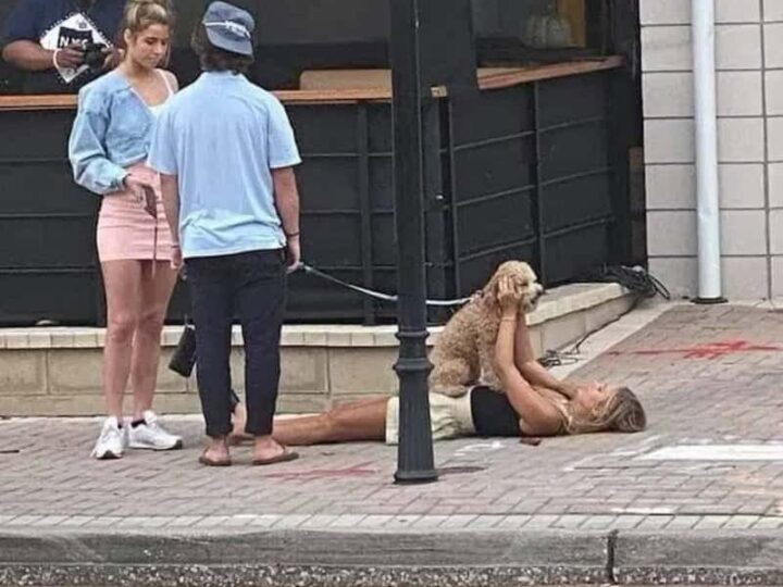 Woman lying on the sidewalk with a dog on her face, people watching.