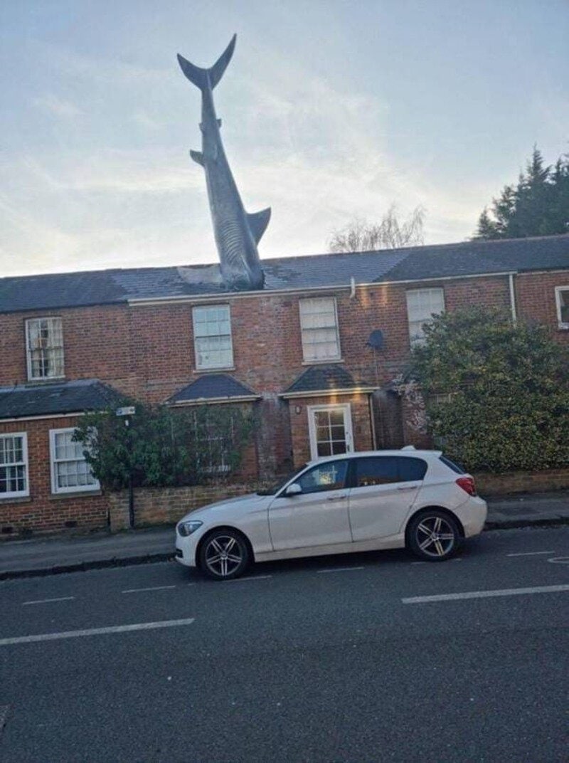 A large fish sculpture appears to be balancing on a house roof.