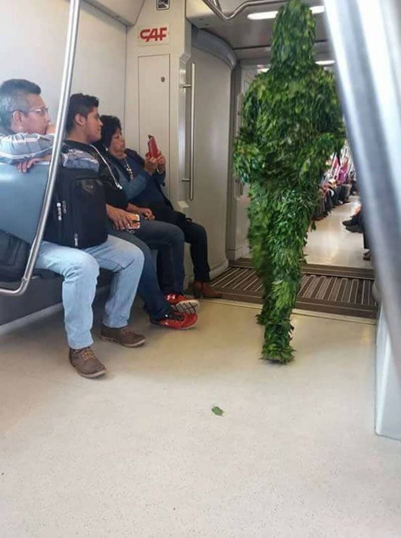 Person dressed as a large cannabis leaf on a train with seated passengers.