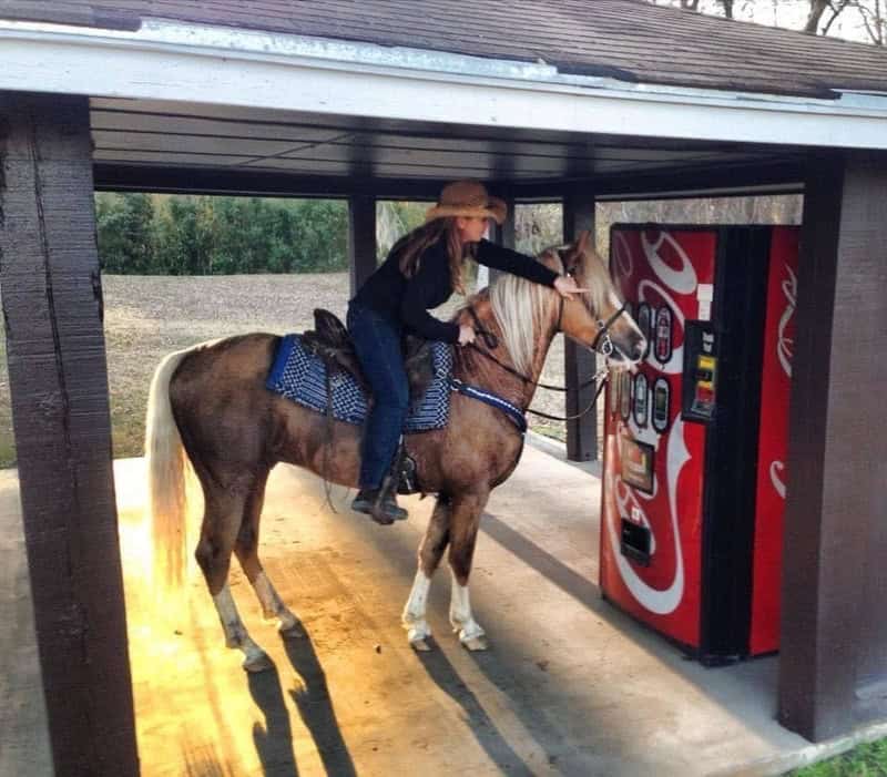Woman in cowboy hat on horse at vending machine in outdoor shelter.