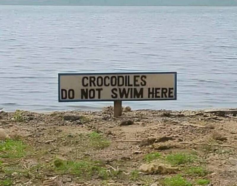 Crocodiles do not swim here sign by the water.