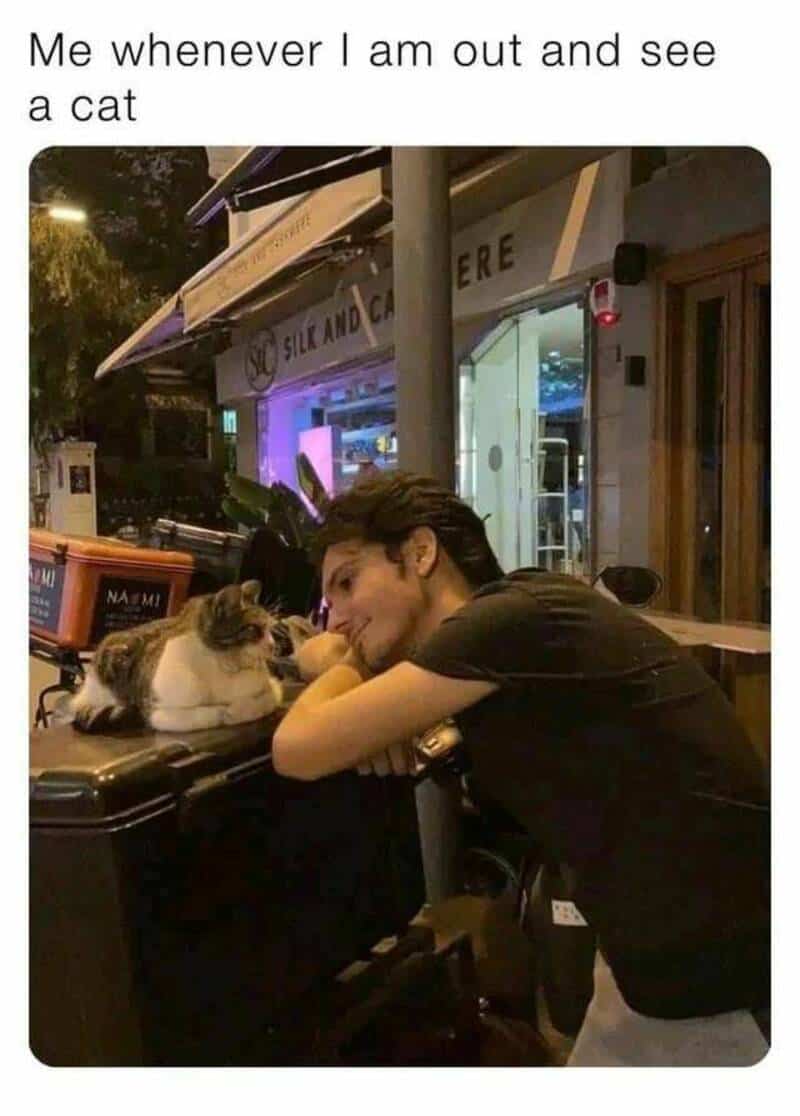 Person leaning on a piano, looking at a cat sitting on the piano.