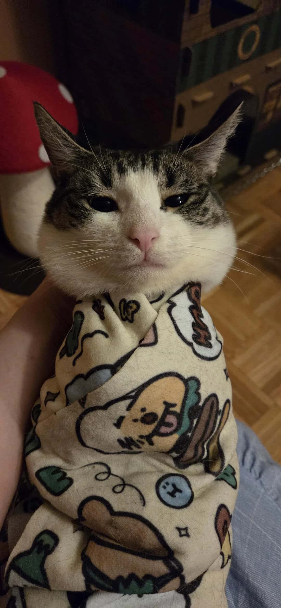 Close-up of a cat with a funny expression, wrapped in a cartoon-themed blanket.