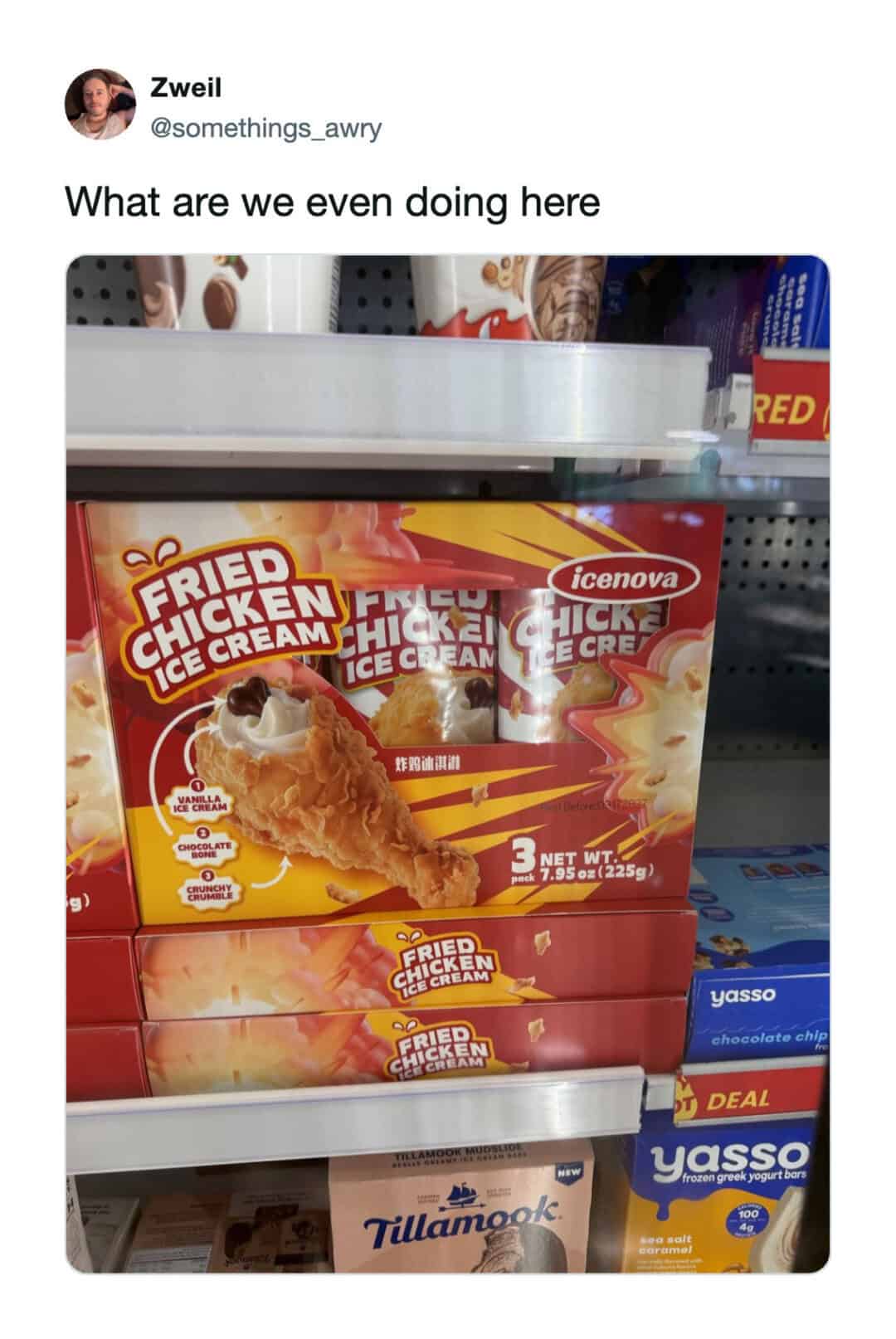 Frozen fried chicken ice cream in a store freezer, with a caption 'What are we even doing here'.