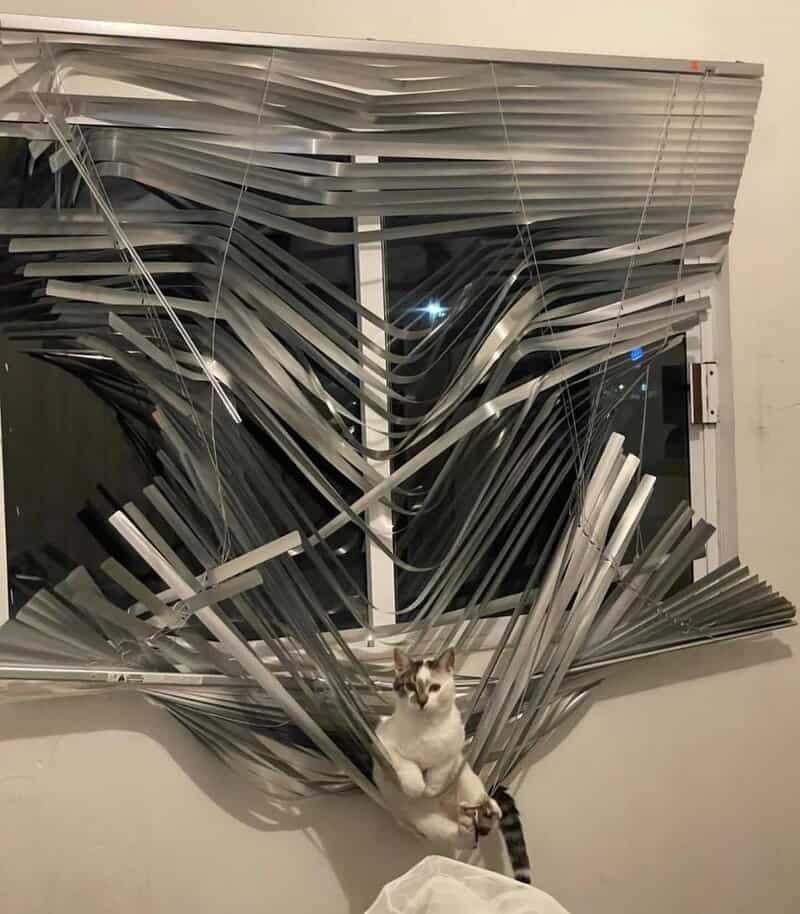 Cat sitting in a distorted, bent window with metal blinds.