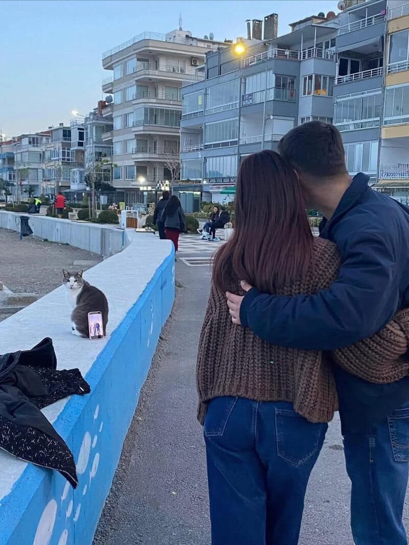 Couple hugging near a seaside promenade with a cat on a wall.