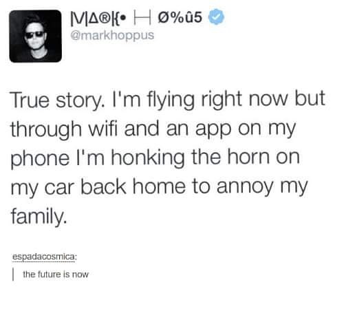 honking horn via phone to annoy family, honking horn on car back home to annoy family, mark hoppus funny picture, mark hoppus twitter, mark hoppus tweet true story i'm flying right now