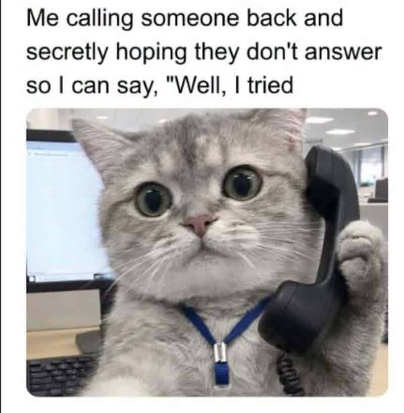 Cat holding a phone with text about calling someone back and hoping they don't answer.