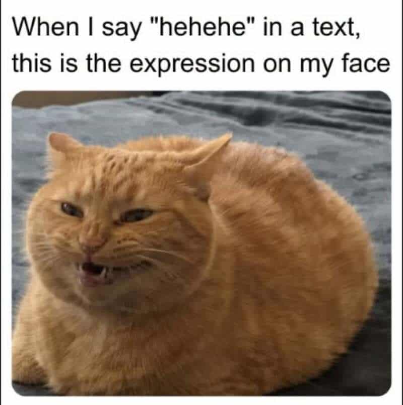 When I say "hehehe" in a text, this is the expression on my face.