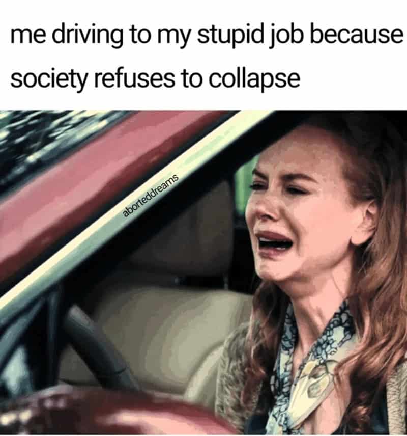Woman crying in car with text about driving to a stupid job because society refuses to collapse.