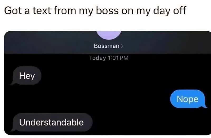 Text conversation with boss: Hey, Nope, Understandable.