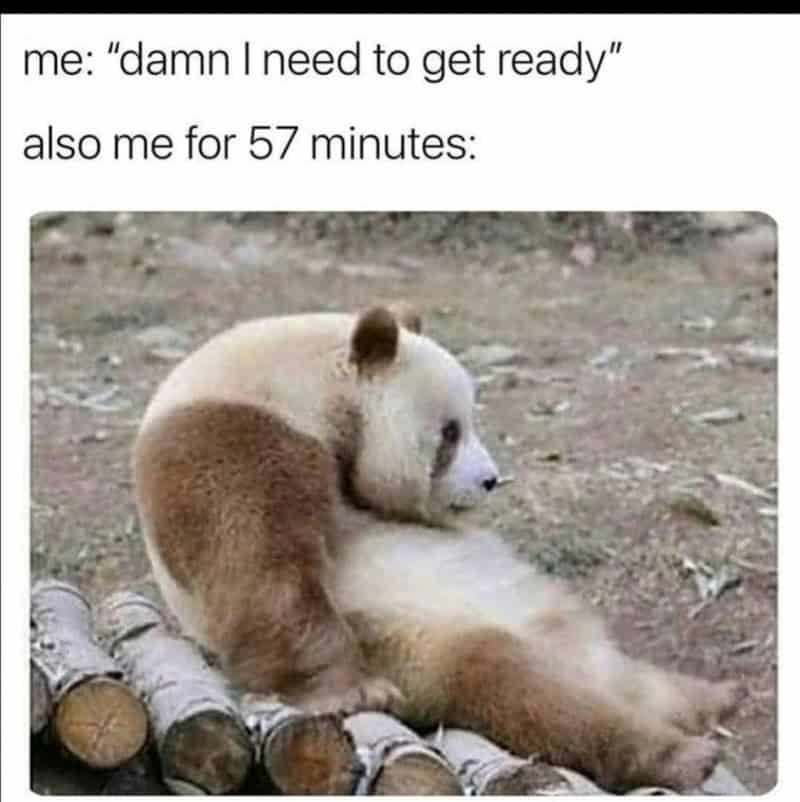 A panda bear sitting on the ground, looking sad, with logs nearby.