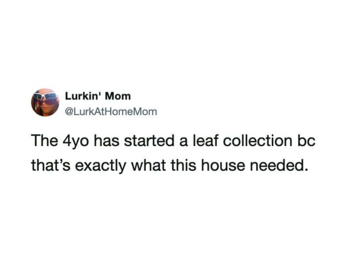 A tweet from Lurkin' Mom about a 4-year-old starting a leaf collection.