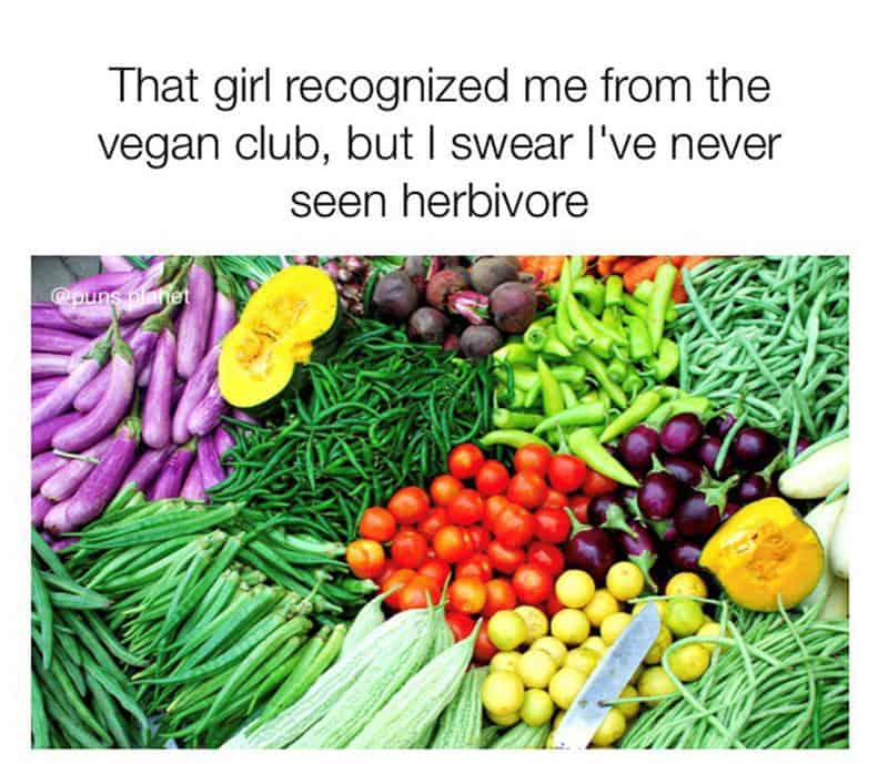 Girl recognized me from vegan club, but I swear I've never seen herbivore.