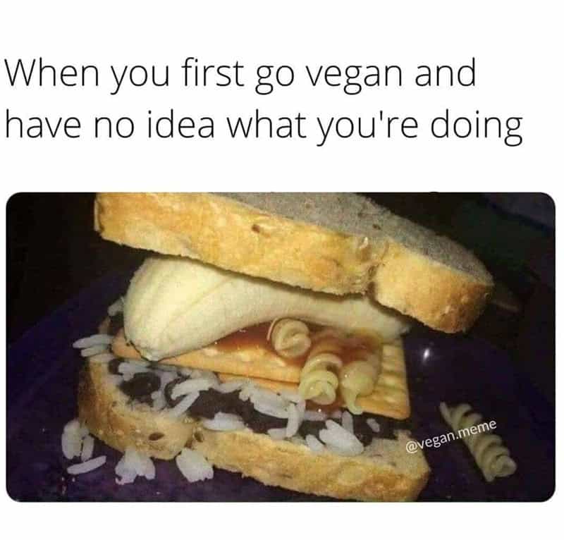 Vegan sandwich with bread, onion, cheese, and pasta, with text about going vegan.