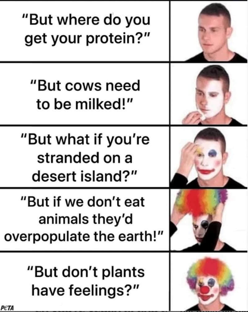 Comic strip with five panels about protein, cows, desert islands, animals, and plants.