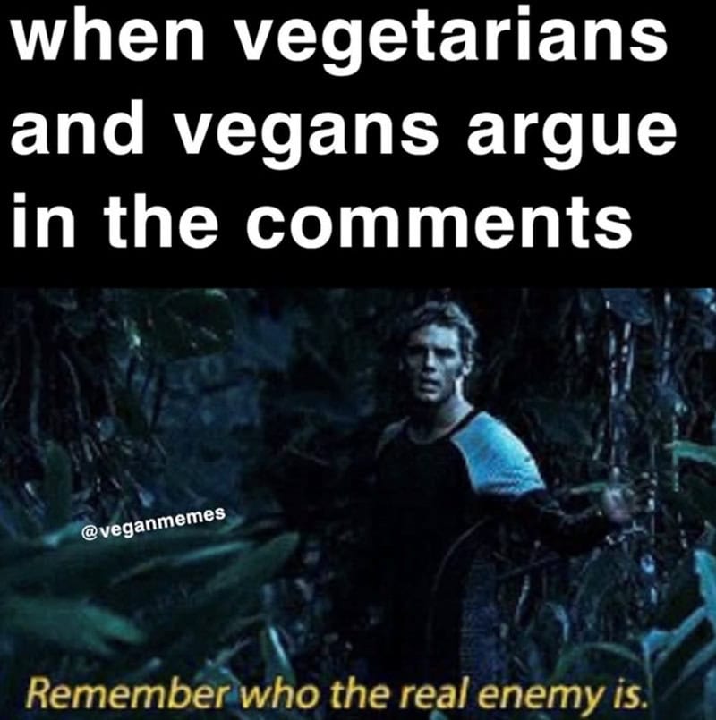 When vegetarians and vegans argue in the comments.