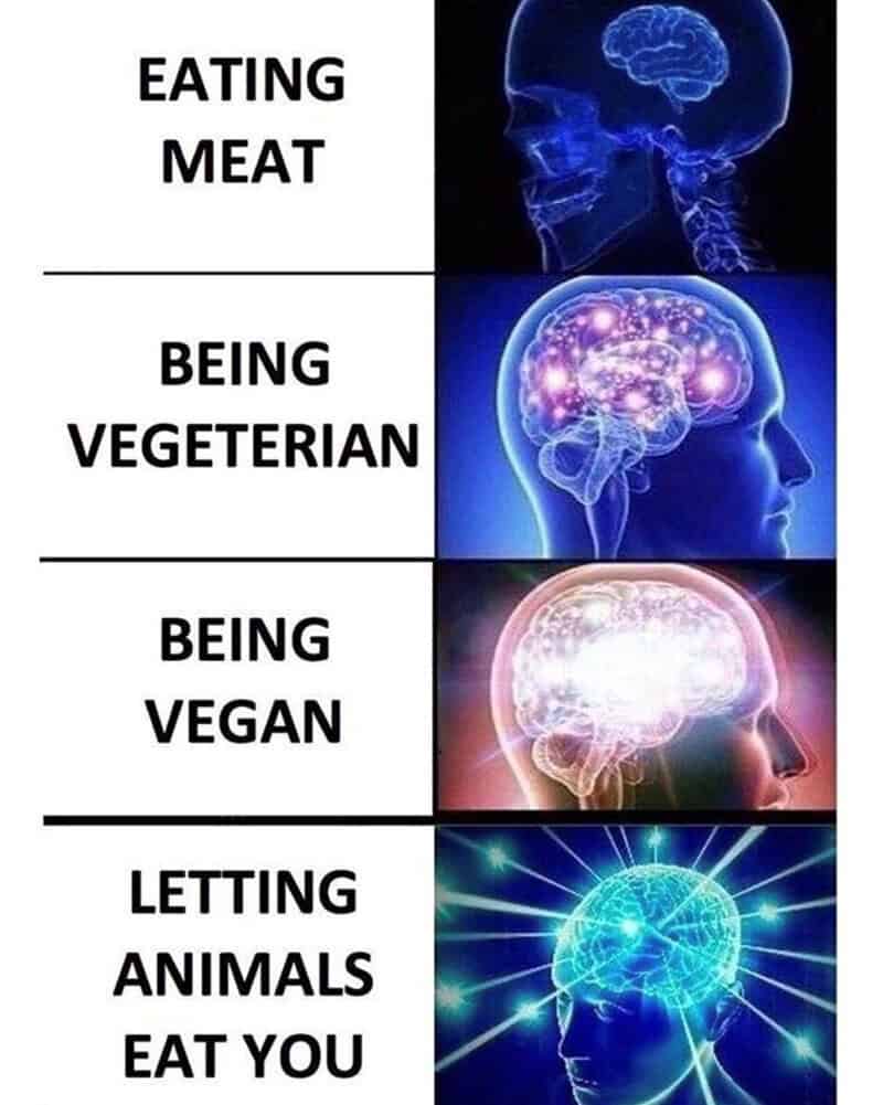 Progression of brain activity from eating meat to letting animals eat you.