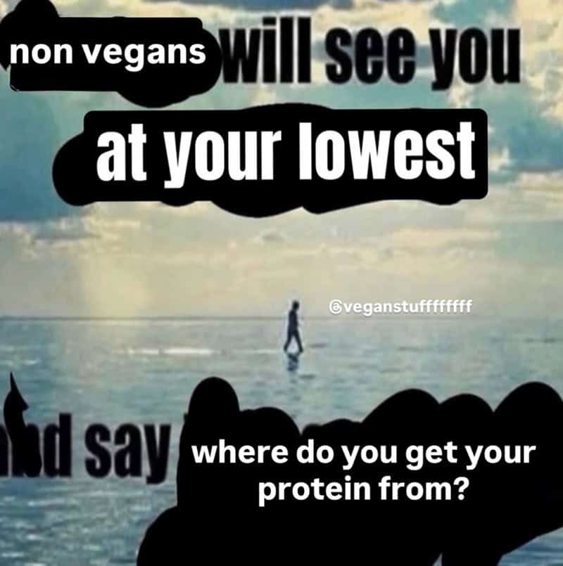 Non vegans will see you at your lowest and say where do you get your protein from?.