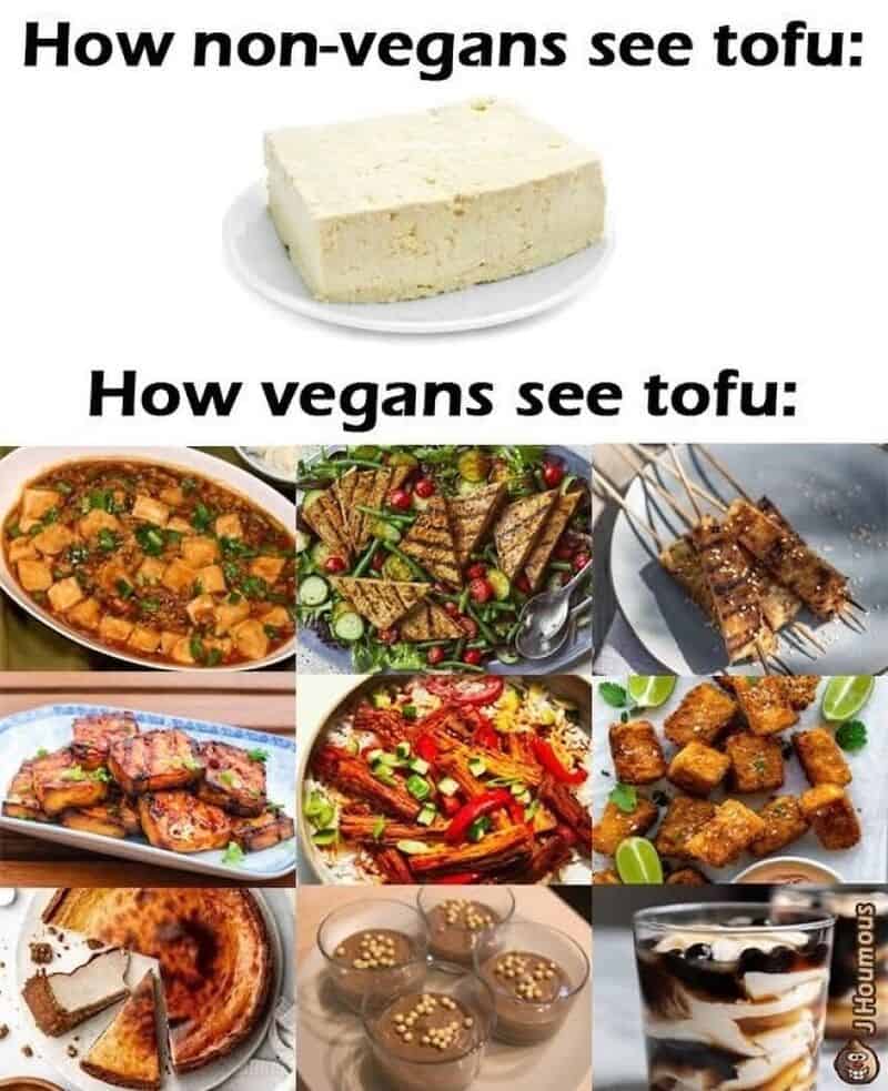 How non-vegans see tofu: a block of tofu on a plate. How vegans see tofu: various vegan dishes.