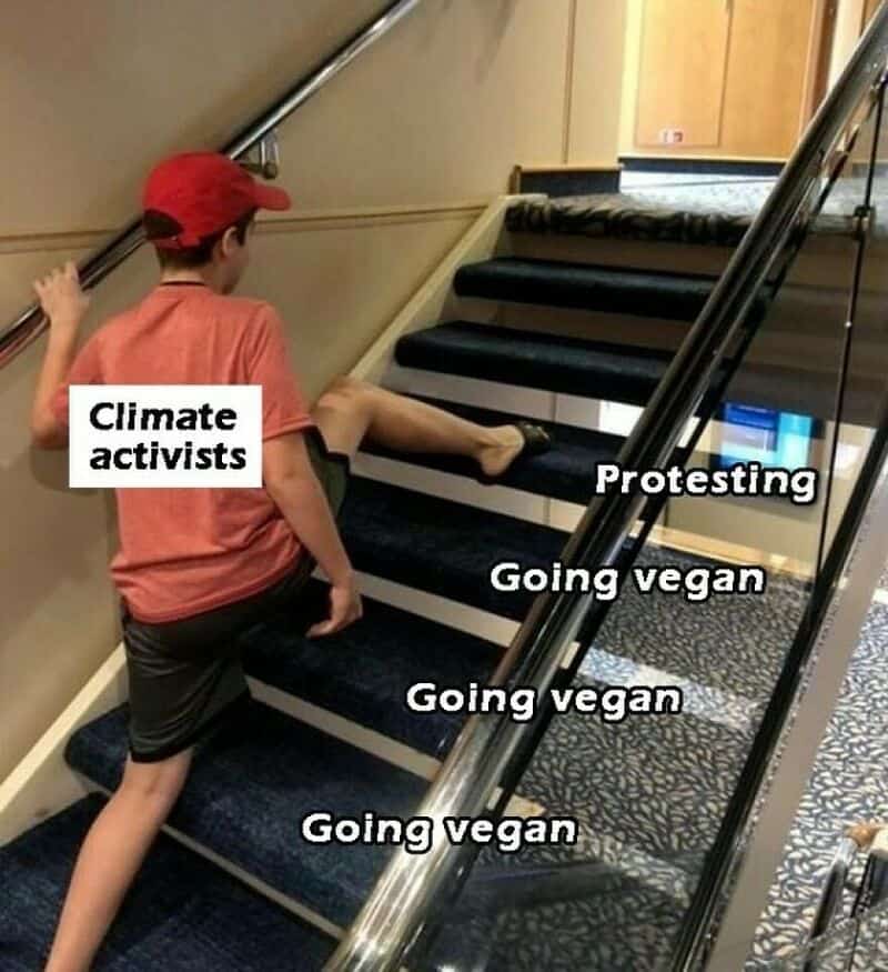 Child with 'Climate activists' label on back, climbing stairs labeled 'Protesting' and 'Going vegan'.