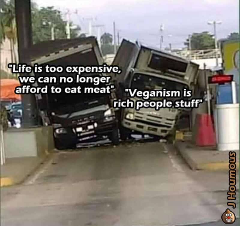 Two trucks tilted and leaning against each other with humorous quotes about food and veganism.