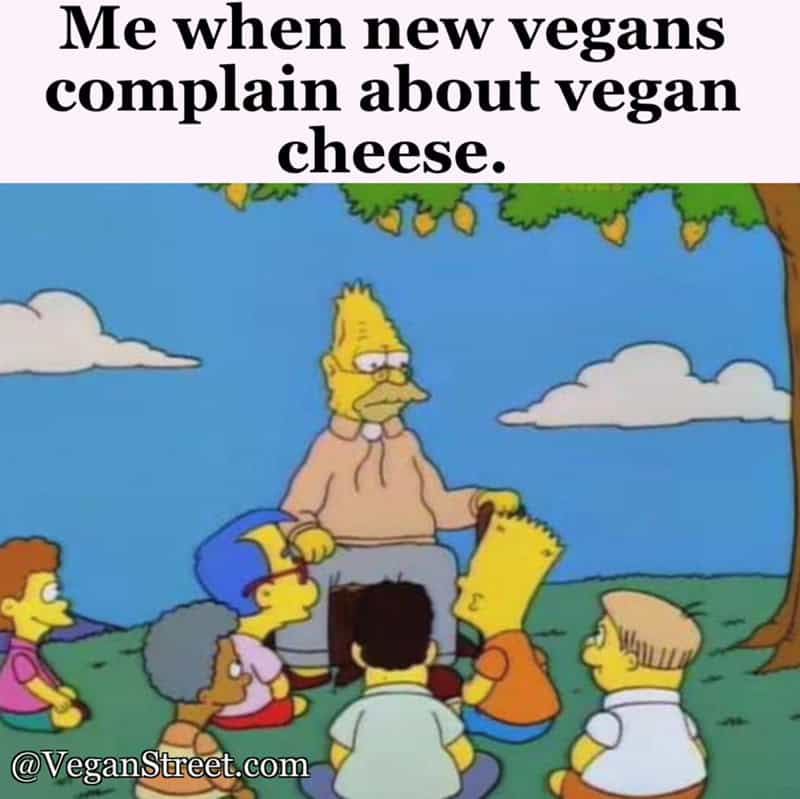 Homer Simpson sitting on a bench with children, with the caption about vegans and cheese.