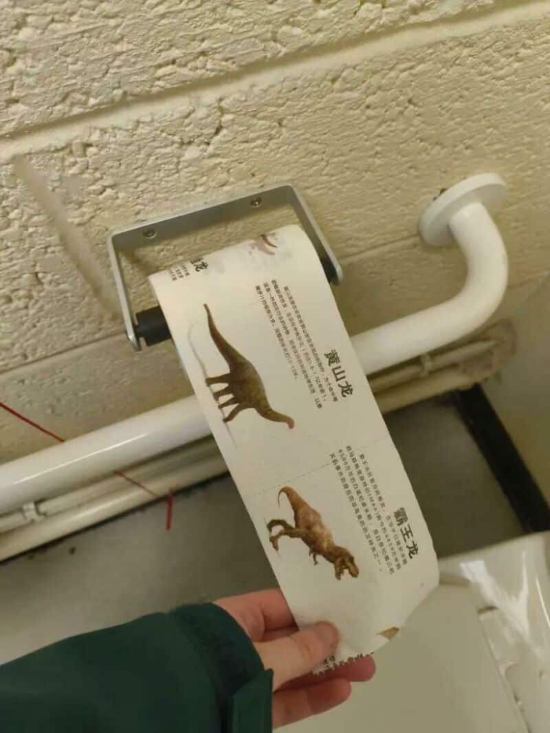 A hand holding a receipt with dinosaur images near a wall with pipes.