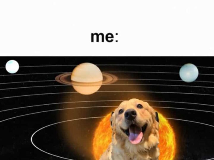 Funny meme with a dog in space, planets, and the sun.